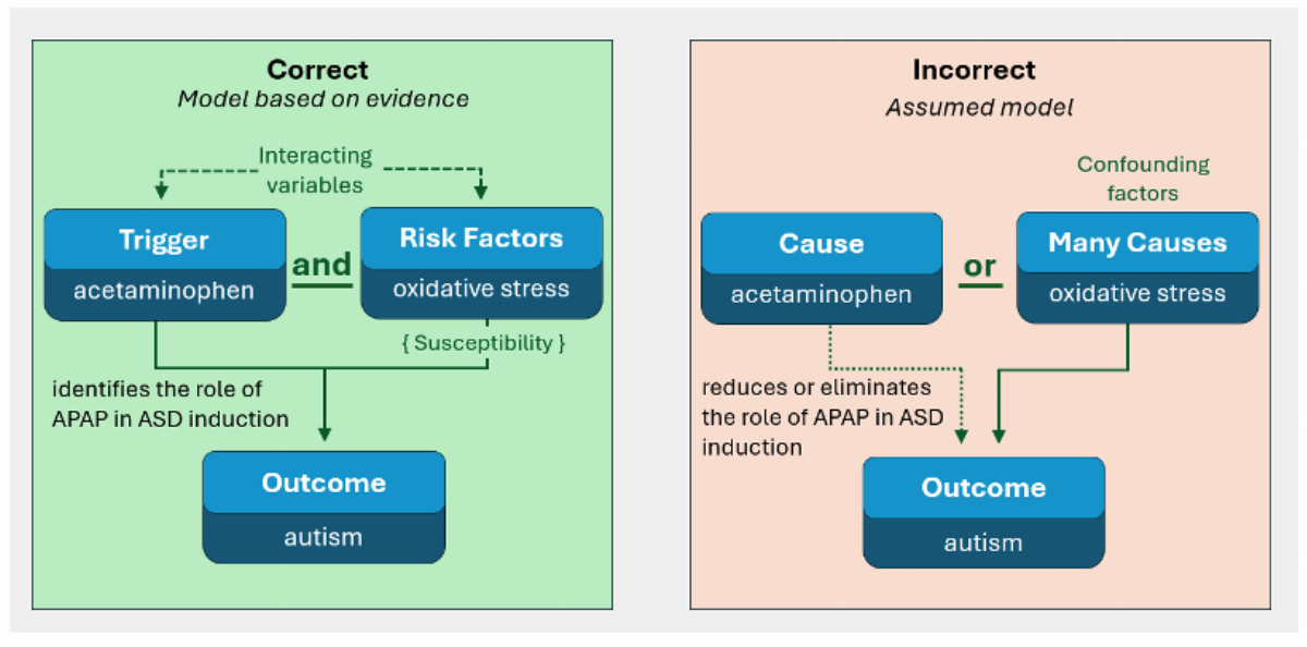Evidence that acetaminophen triggers autism in susceptible individuals has  been ignored and mishandled for more than a decade